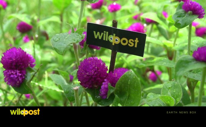 Portal-Picture (2) (93)